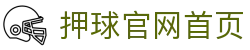 玩球APP下载官网入口_足球比分直播与即时赔率查询